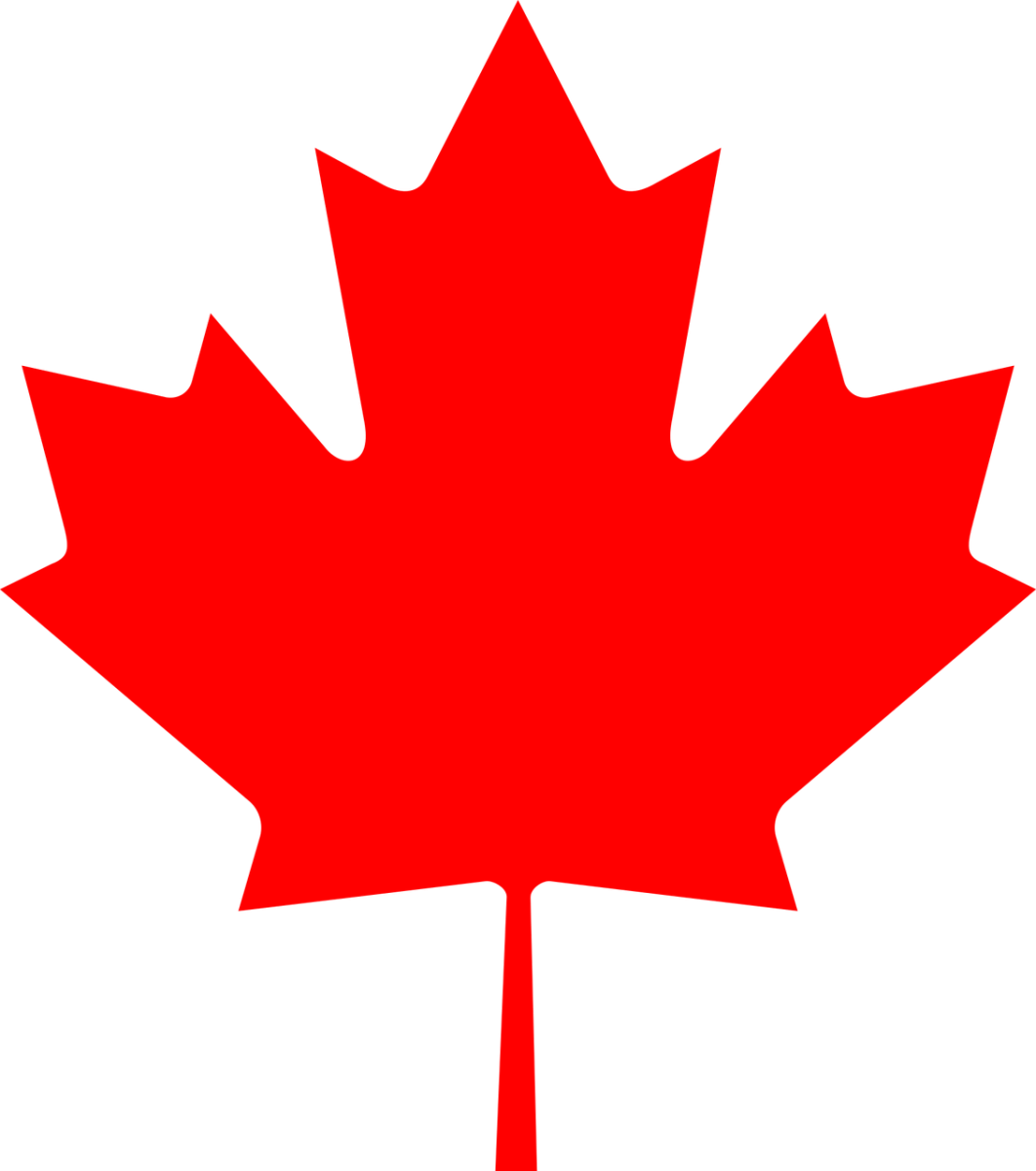 Photo by Clker-Free-Vector-Images